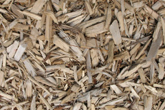 biomass boilers Sarn Bach
