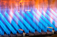 Sarn Bach gas fired boilers
